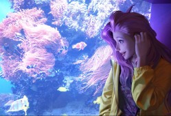 跳跳妹妹哪里多跑跑车，跳跳妹妹怎么获取？